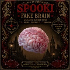 Fake Life-Size Brain