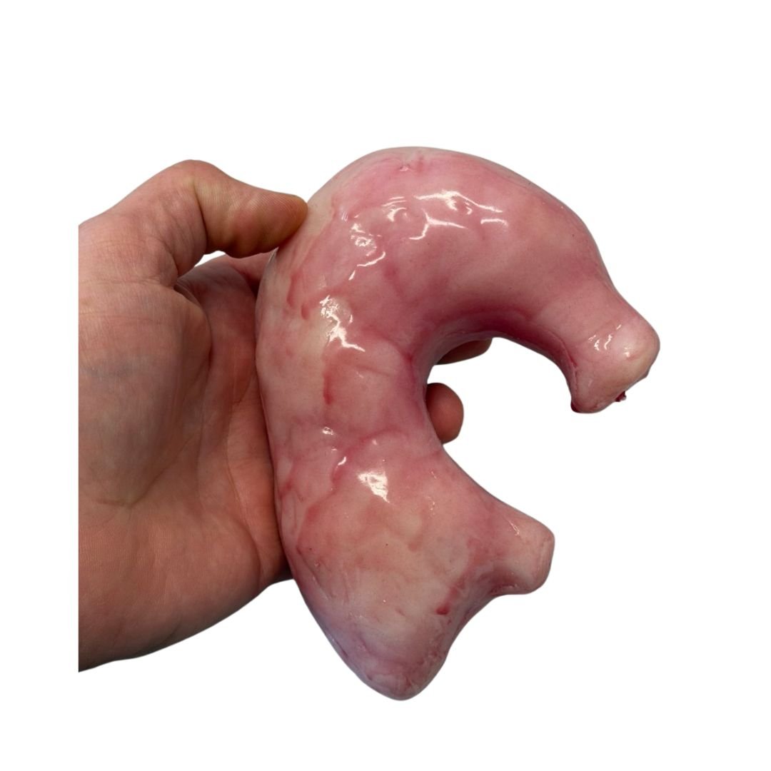 Fake Stomach - Image 2